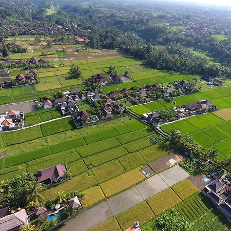 Pondok Penestanan Villa Ubud Exterior foto